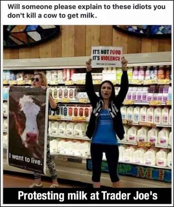 idiot-vegans-jpg.65733