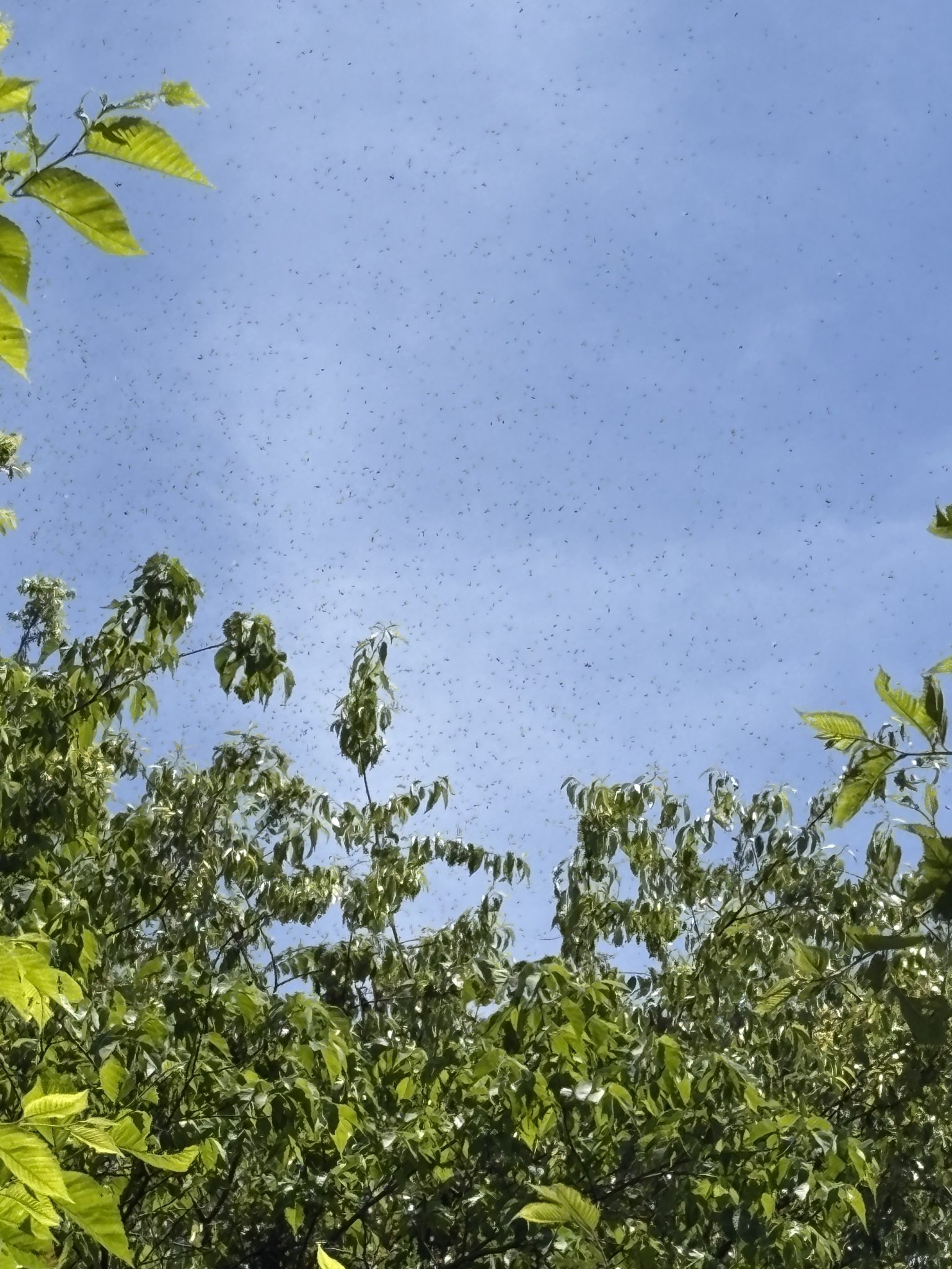 IMG_0092.jpeg