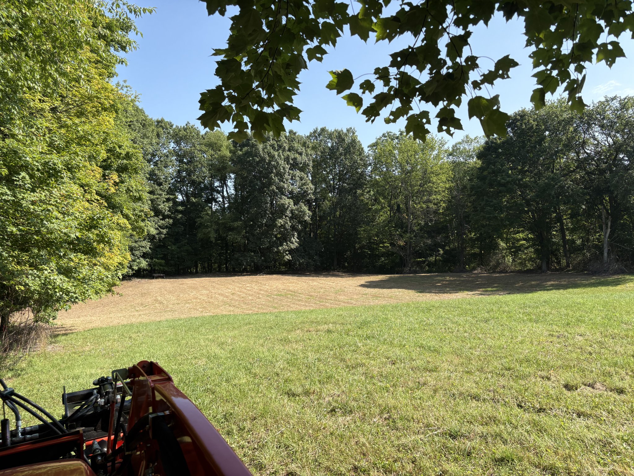 IMG_0273.jpeg