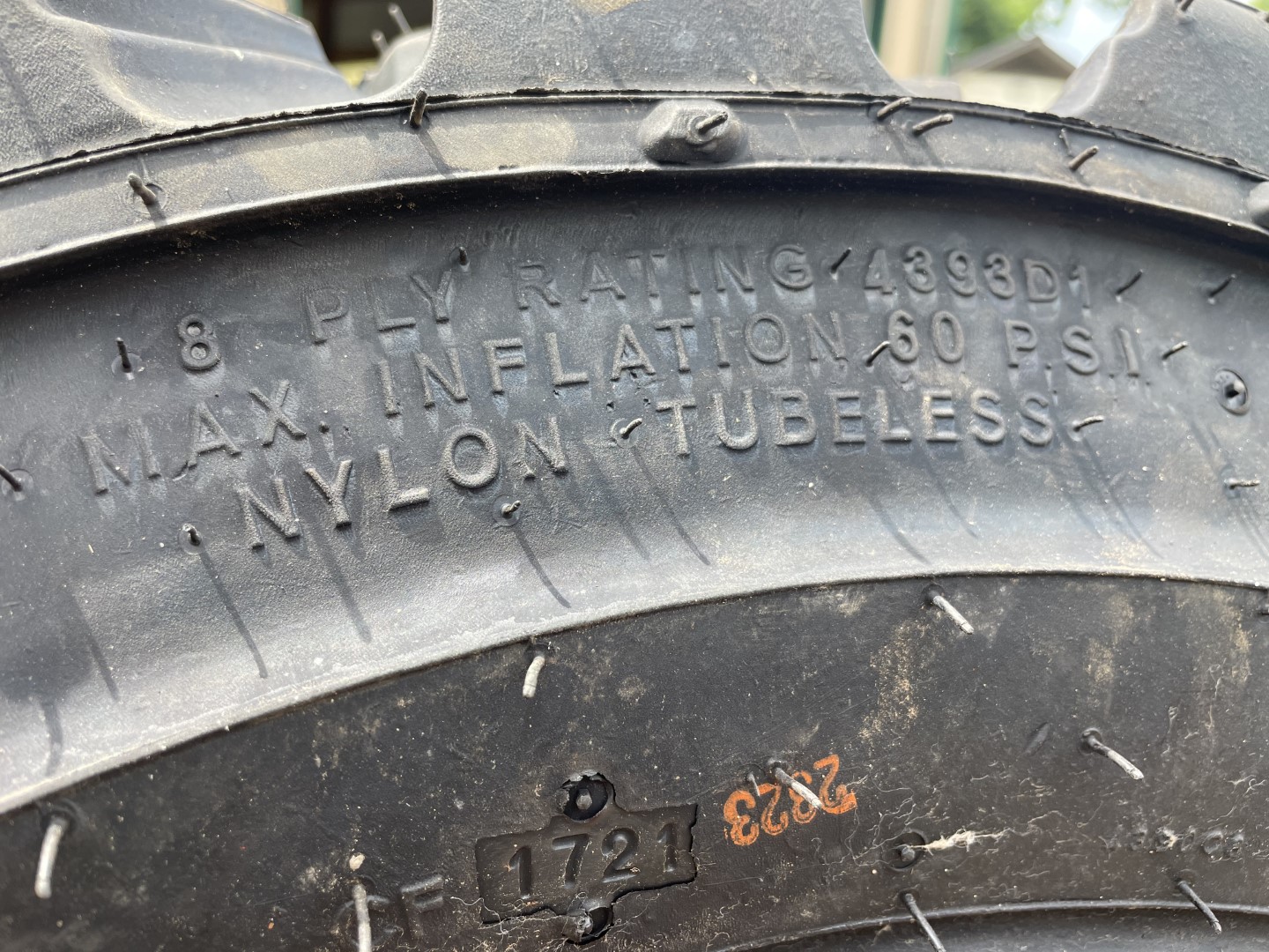 IMG_1364 (Large).jpeg