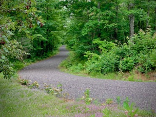 IMG_1528.jpg
