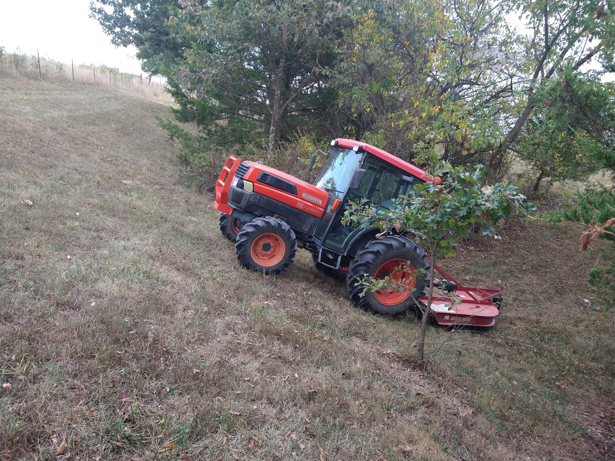 IMG_20250913_164830173.jpg