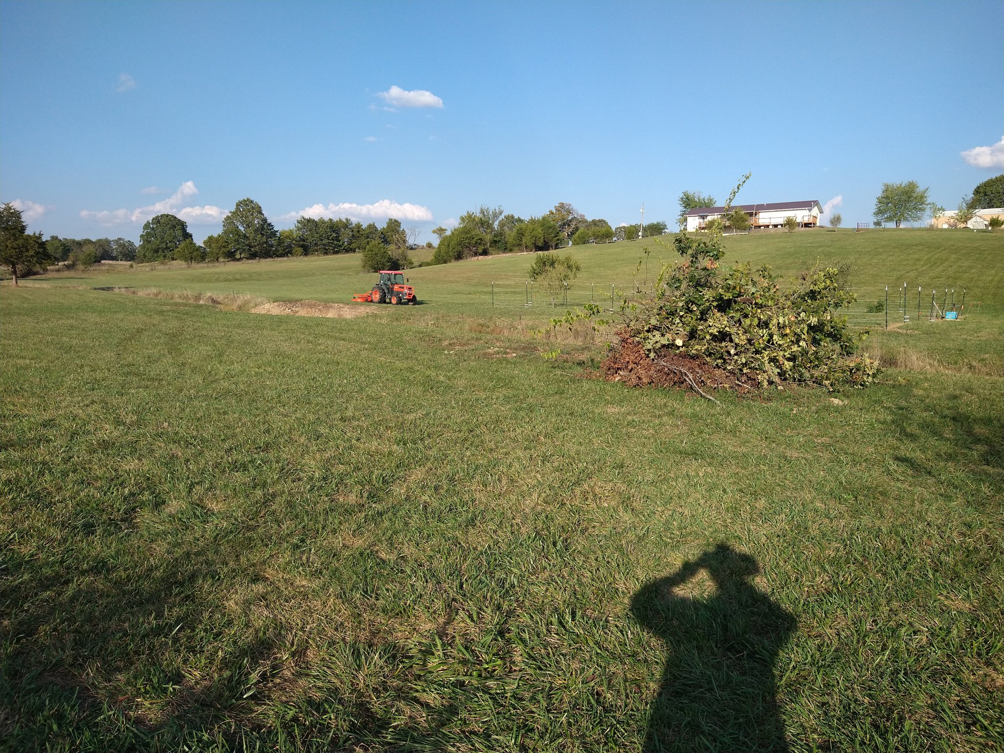 IMG_20251002_170823295.jpg