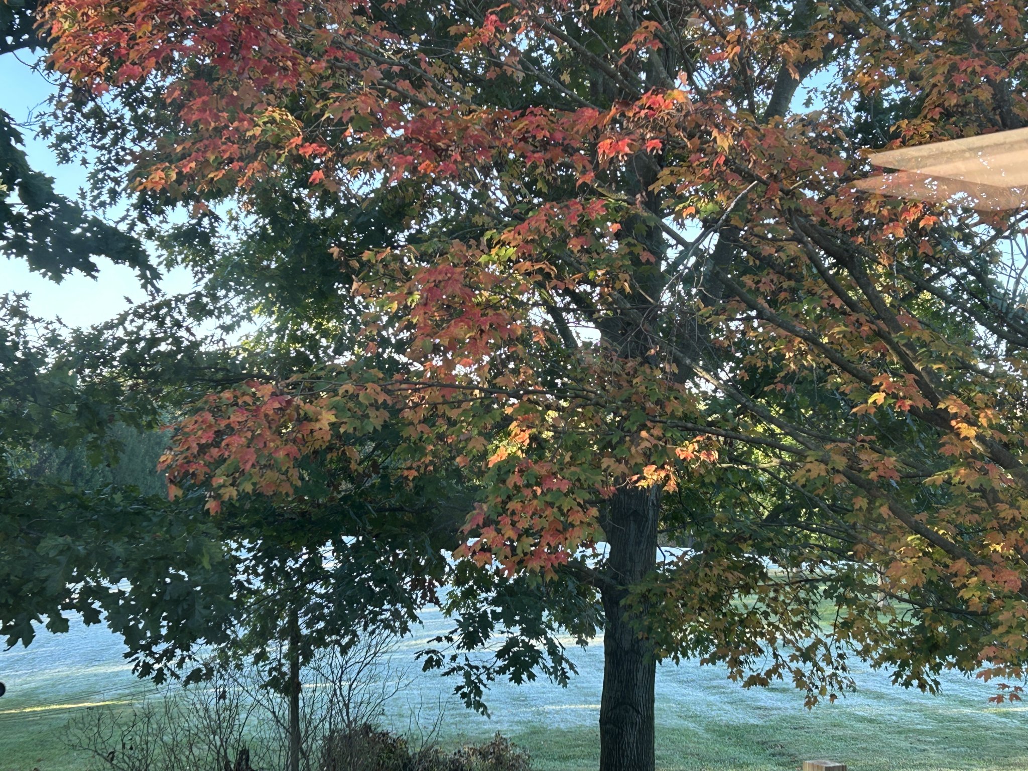 IMG_3833.jpeg