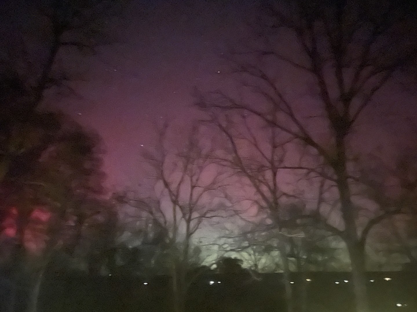 IMG_7232 (Large).JPG