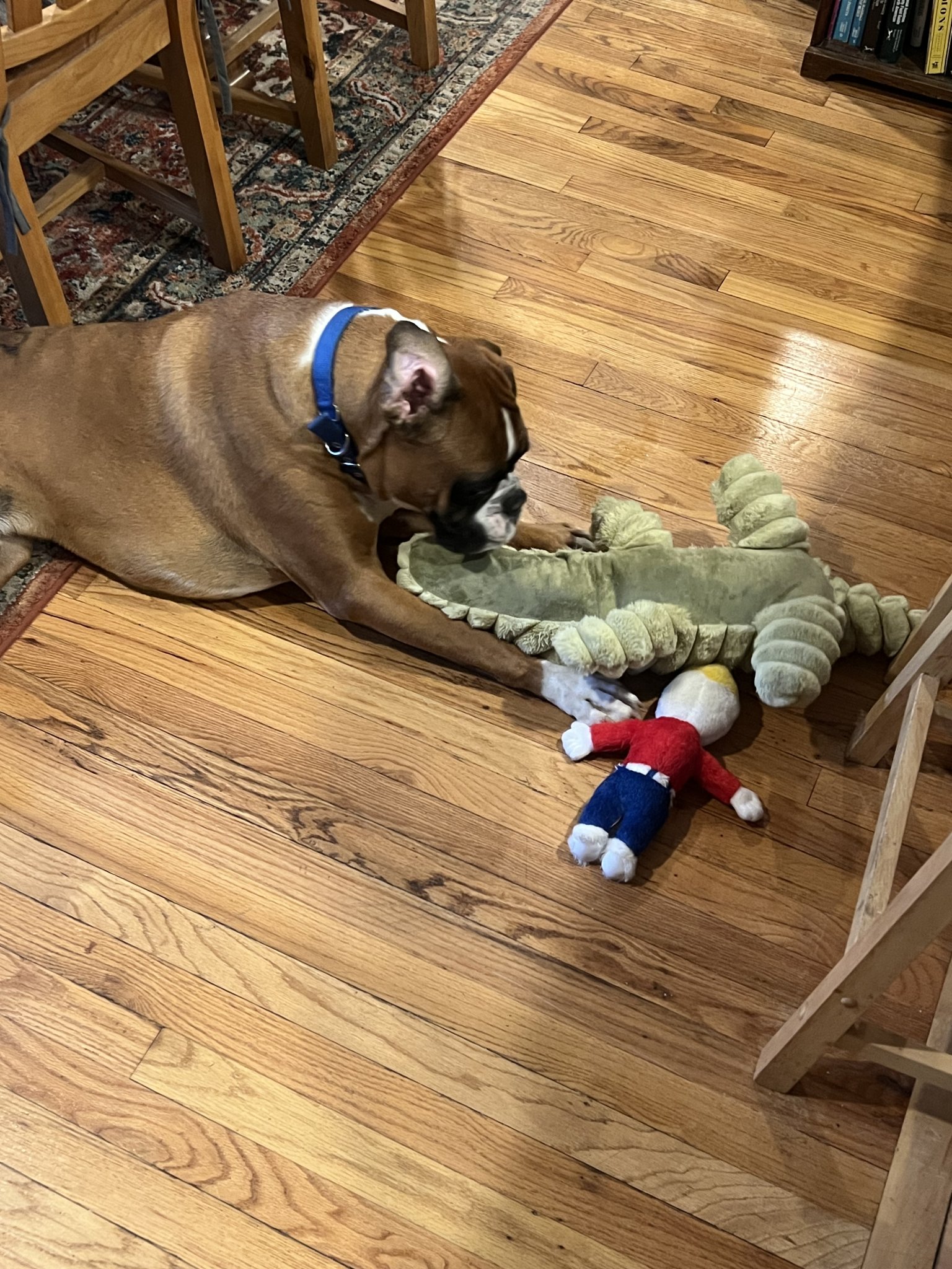 IMG_7767.jpeg