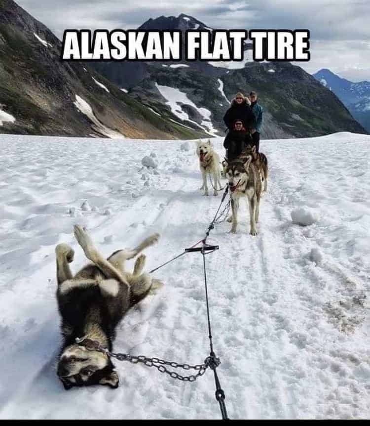 jAlaskanFlatTire.jpeg