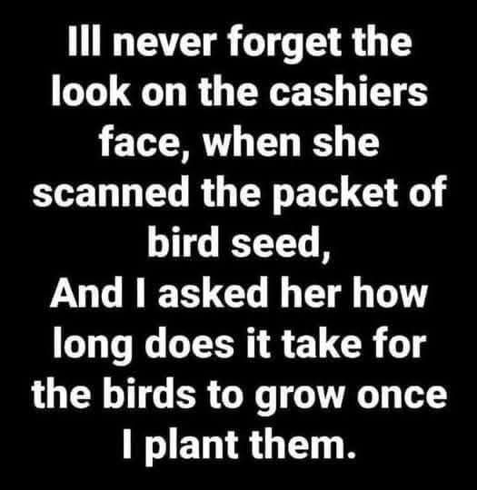 jBirdSeed.jpg