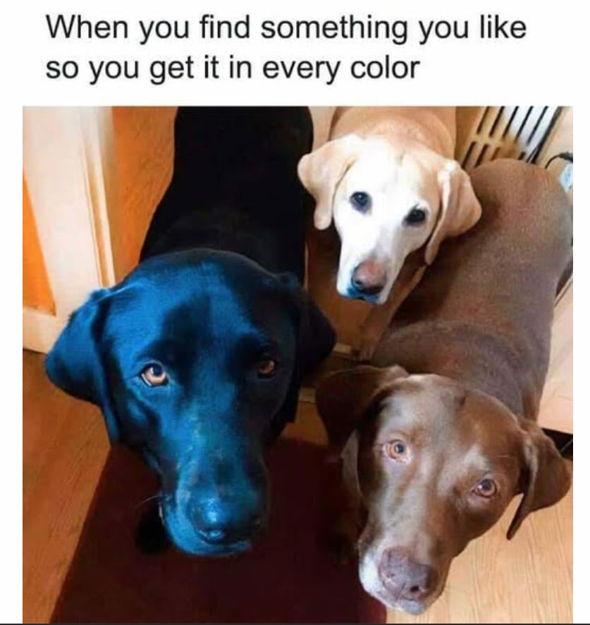 labs.JPG