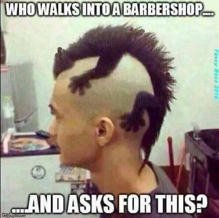 Moron Haircut.jpg