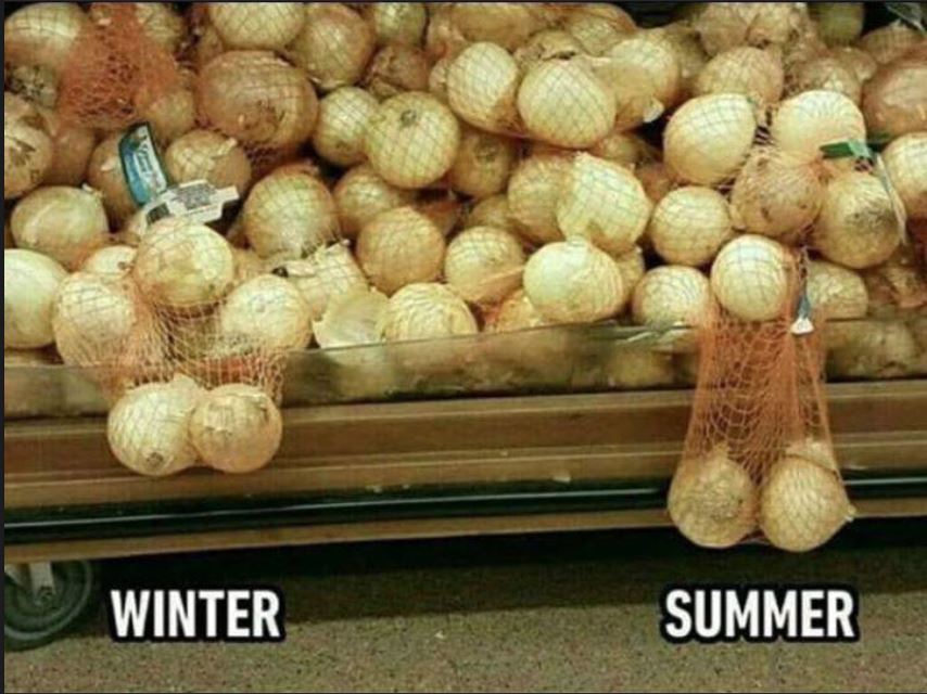 onions.JPG