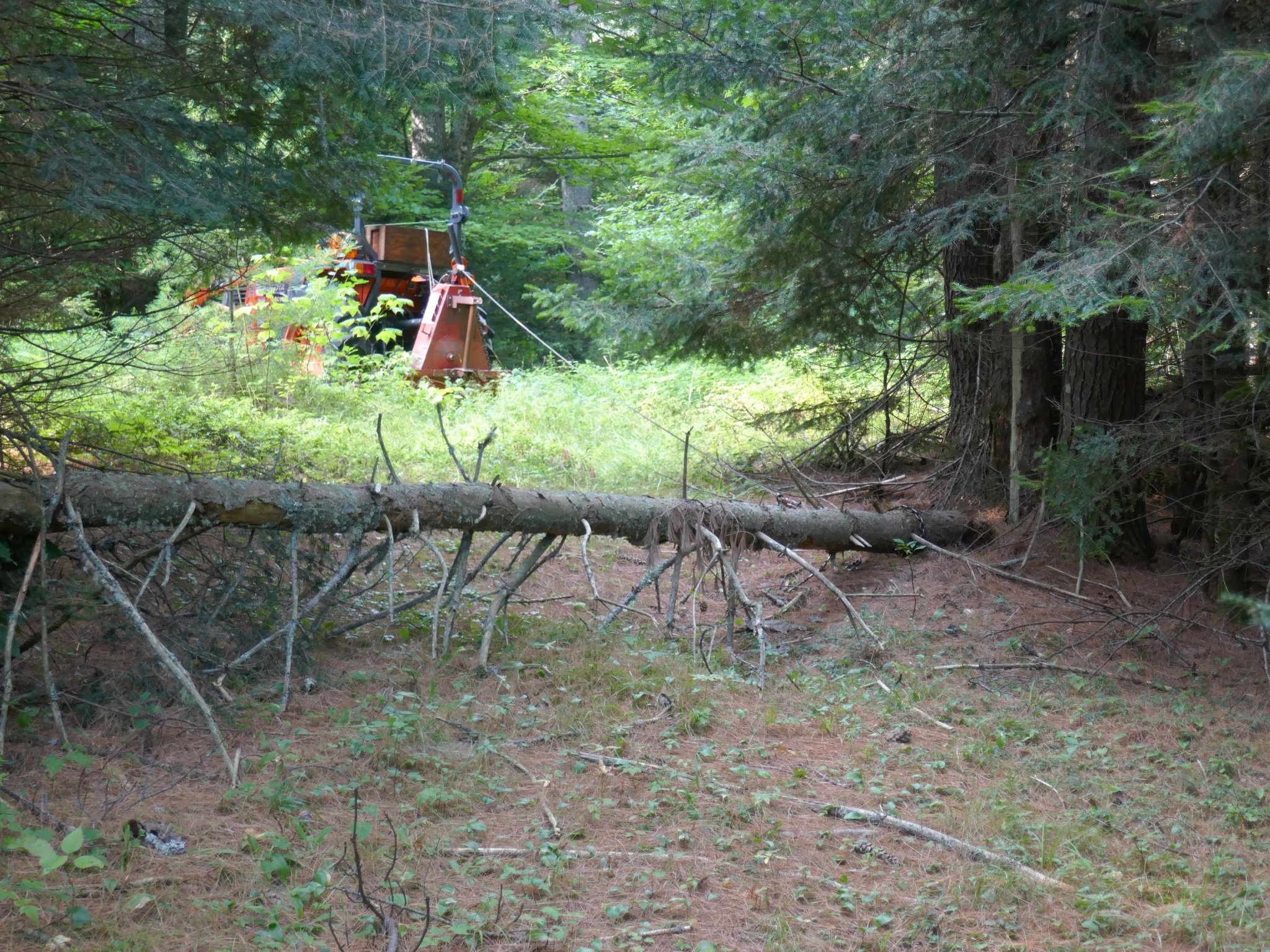 P1000604-1.JPG