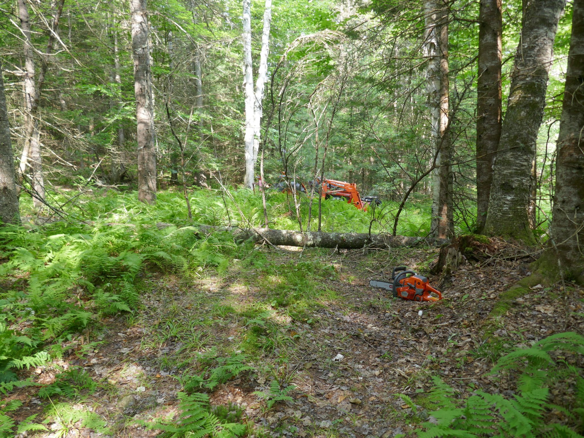 P1000610.JPG