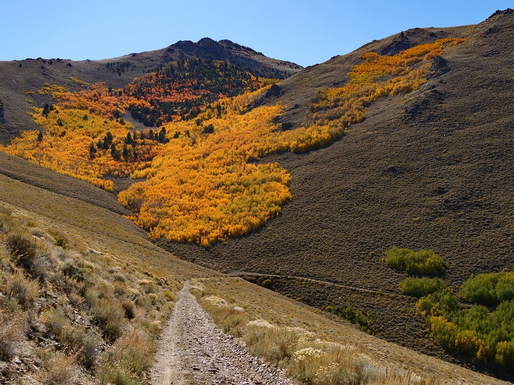 P1015485erorngtrct10-12-25.jpg