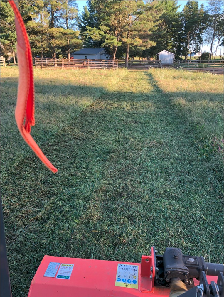 Pasture 1.jpg