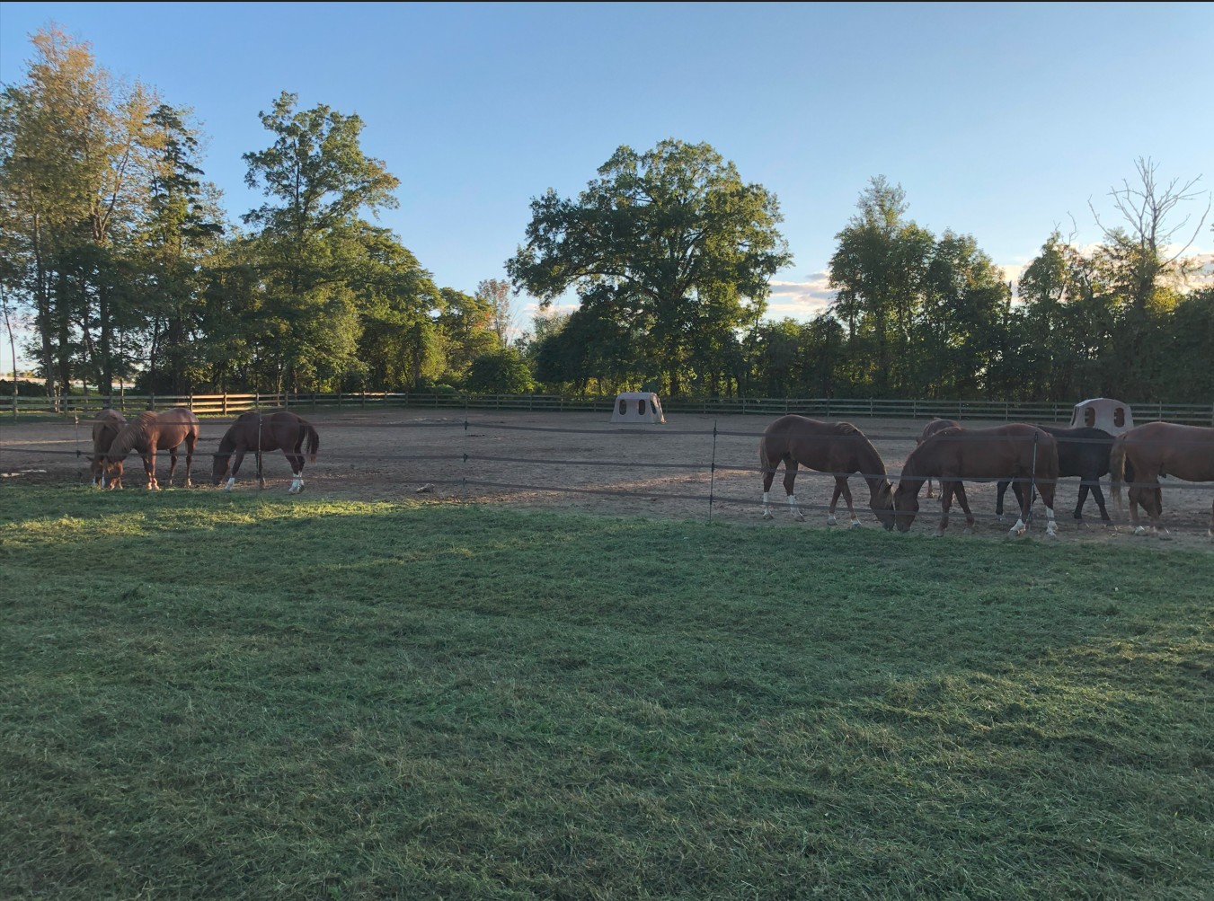 Pasture end.jpg