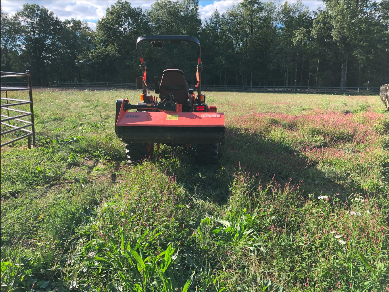Pasture Start.jpg