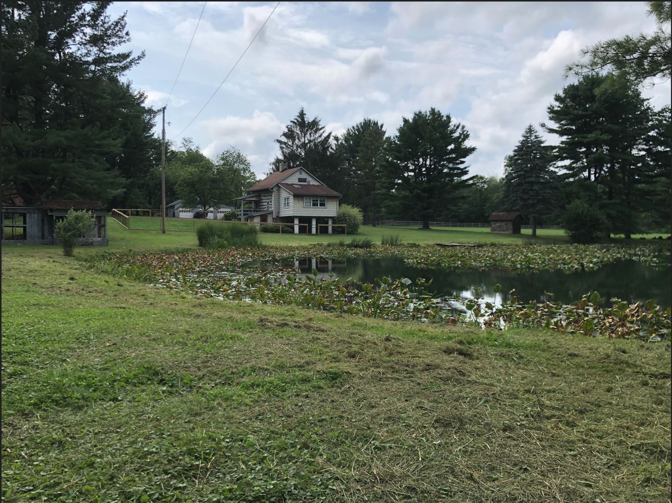 Pond 2.JPG