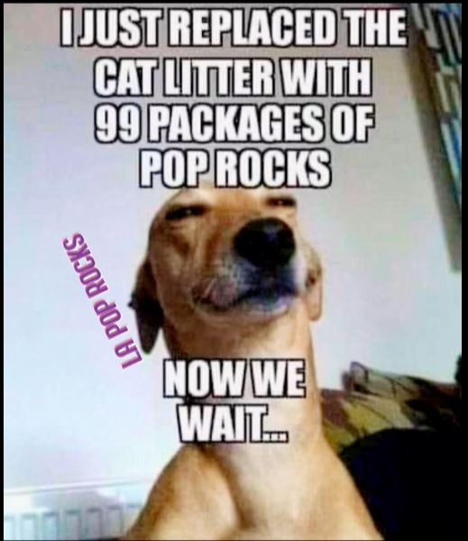 pop rocks.JPG