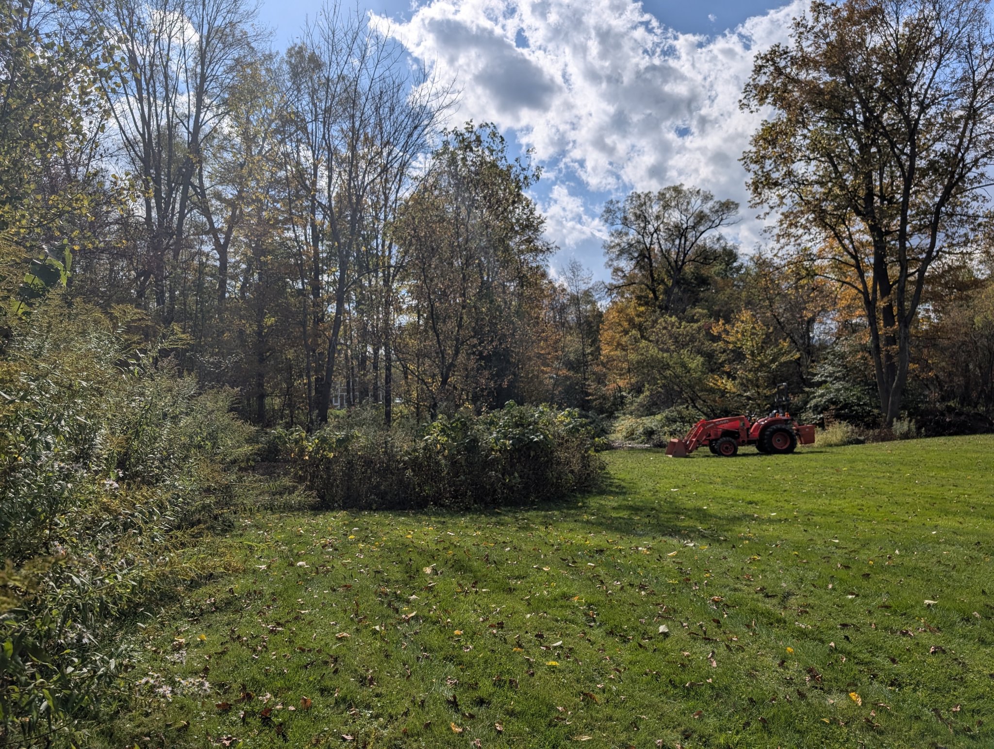 PXL_20250928_183847425.jpg