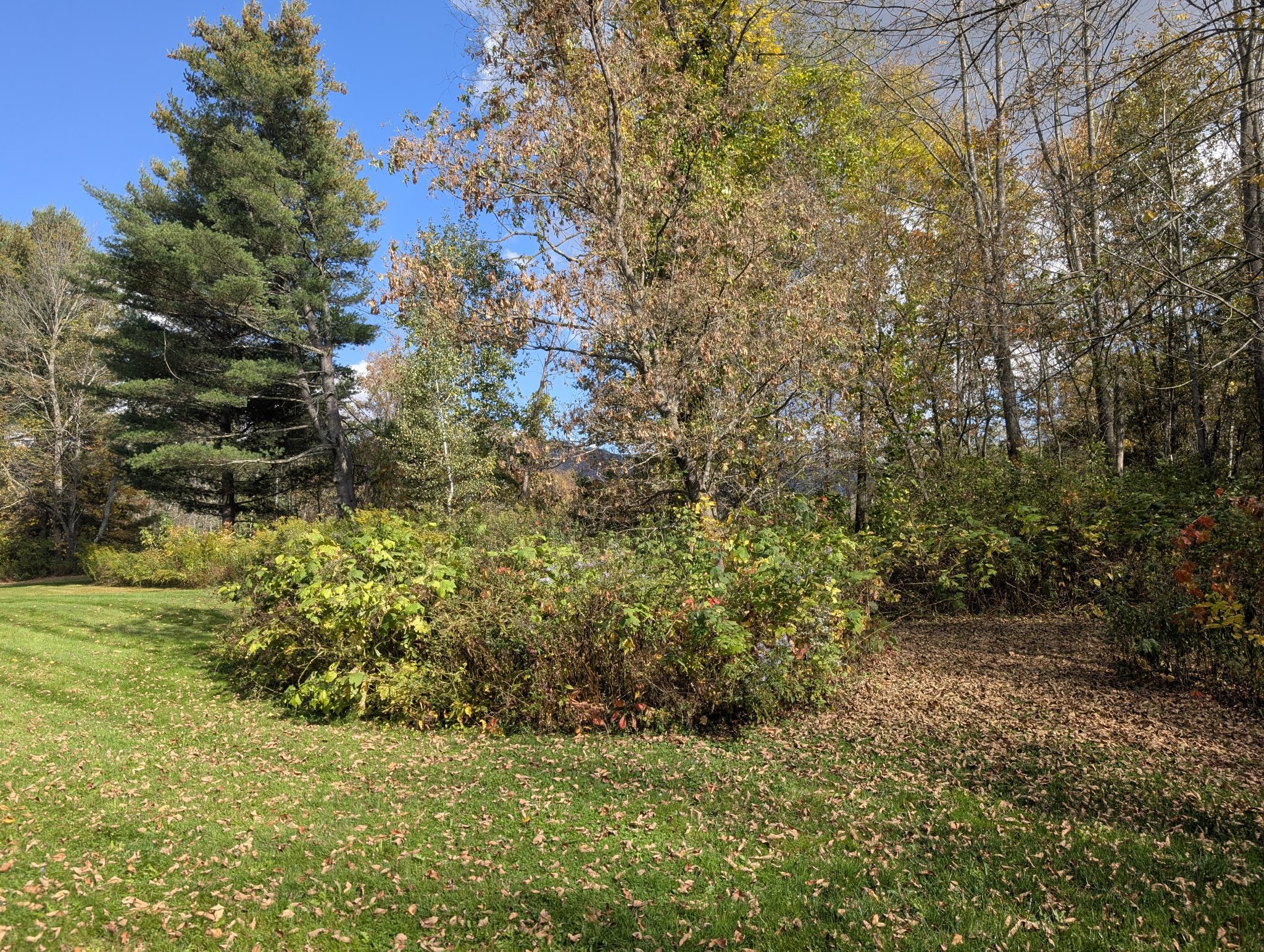 PXL_20250928_183912926.jpg
