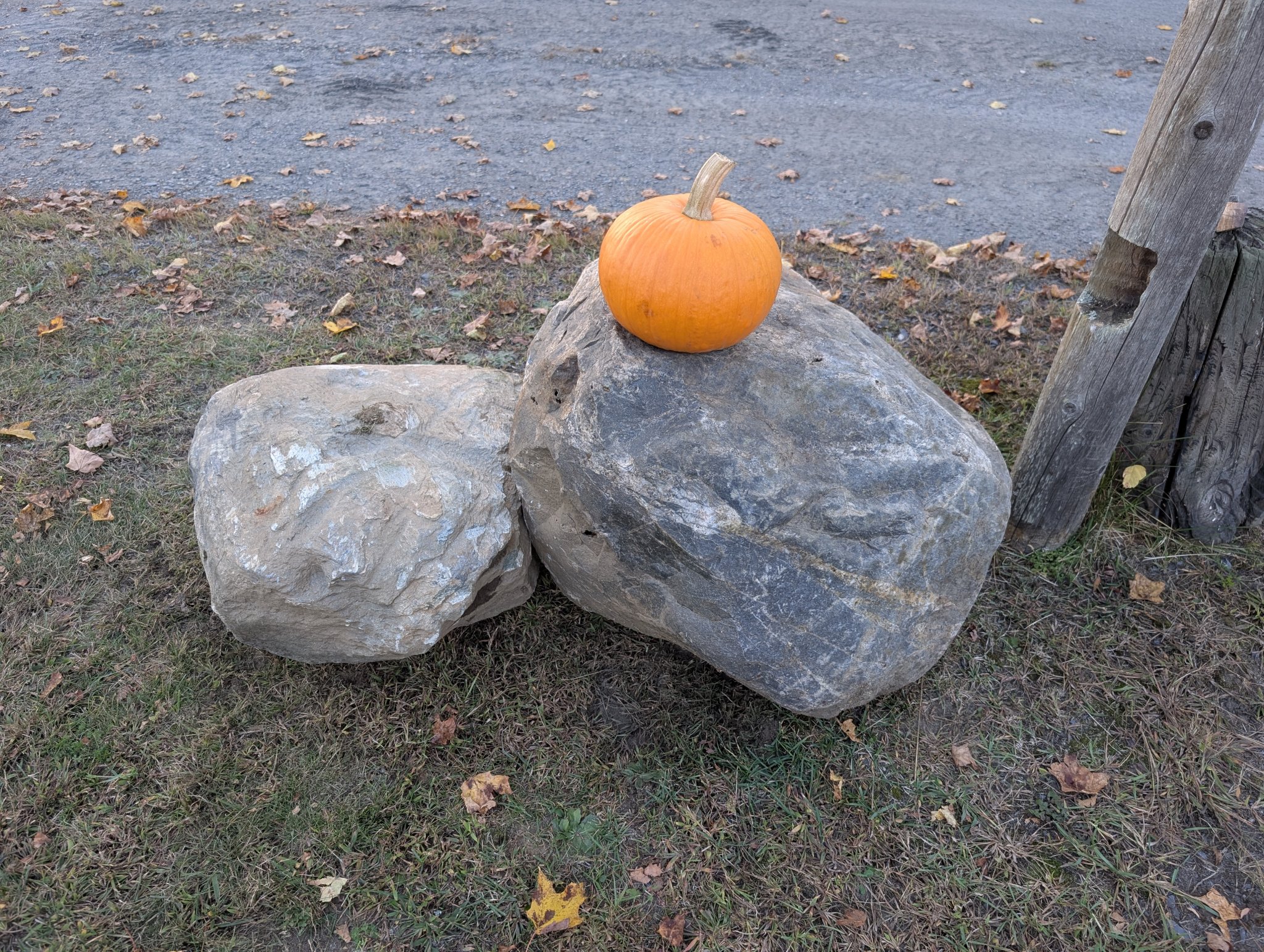 PXL_20251005_215656741.jpg