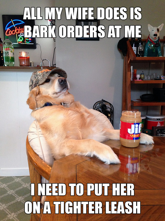 redneck-retriever-memes6.jpg