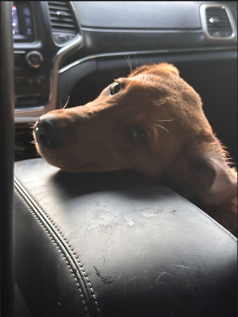 ride.JPG