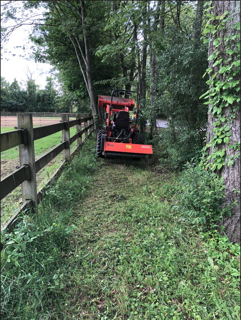Road Ditch 2.JPG