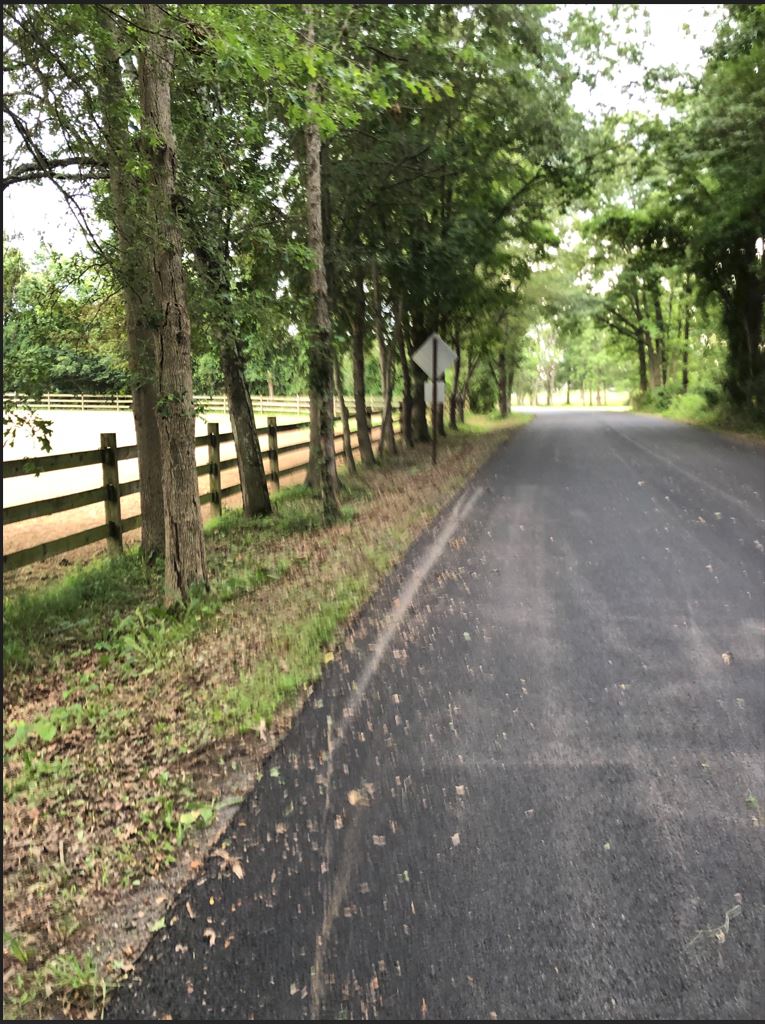 Road Ditch 3.JPG