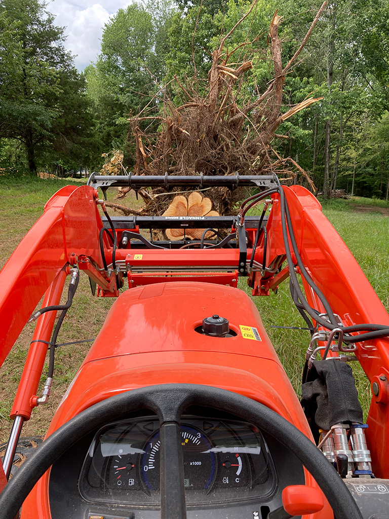 septic-cedar-rootball.jpg