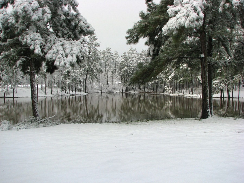 SnowPond_1.jpg