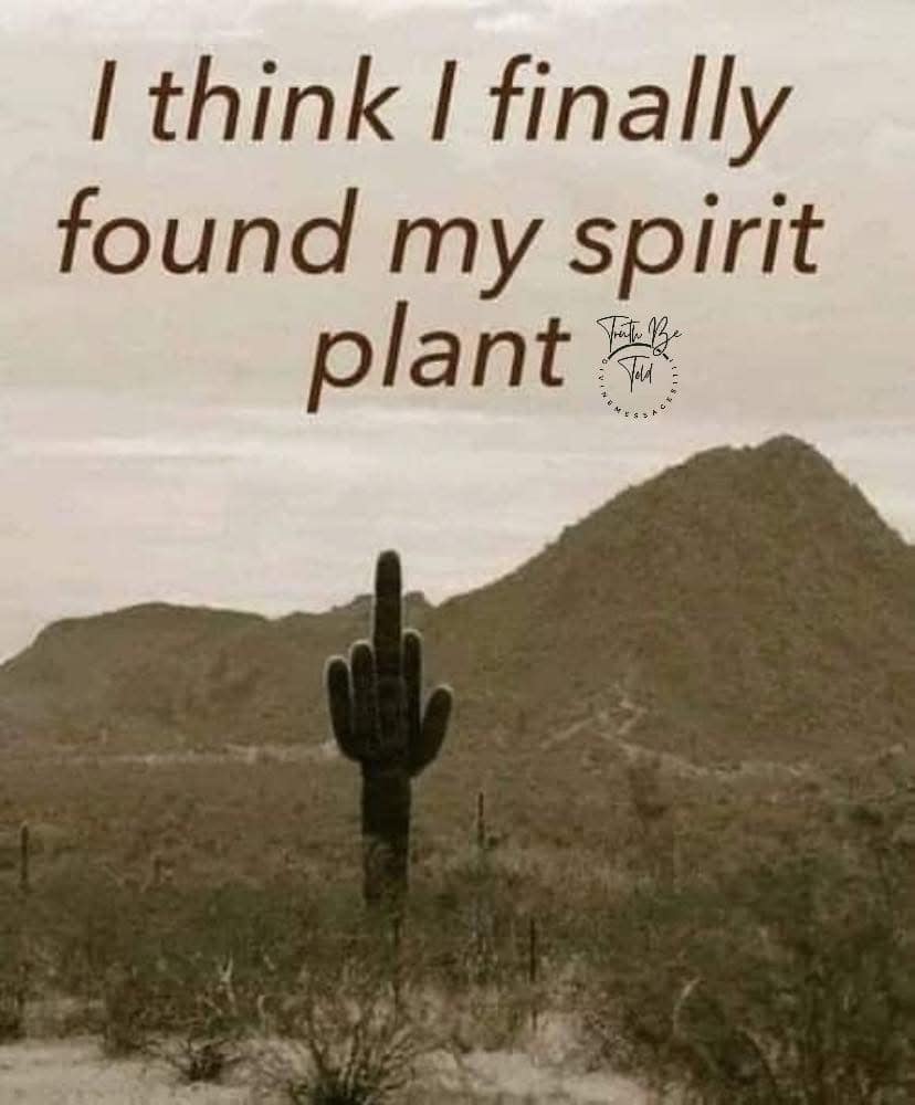 spirit plant.jpg