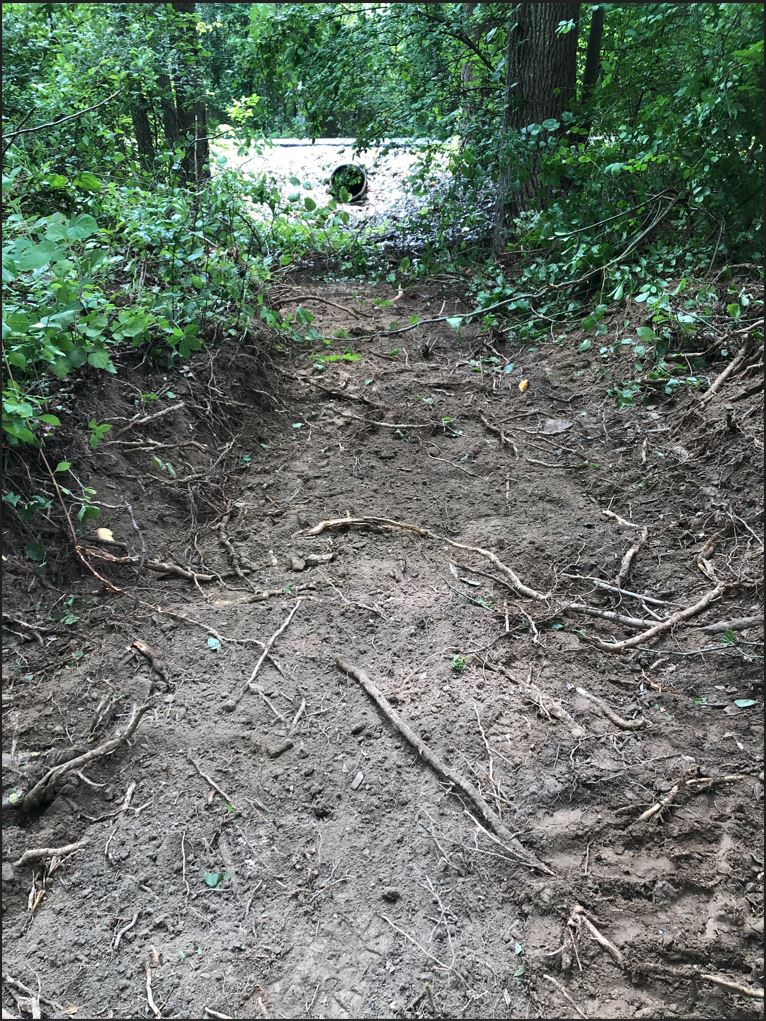 storm drain ditch1.JPG