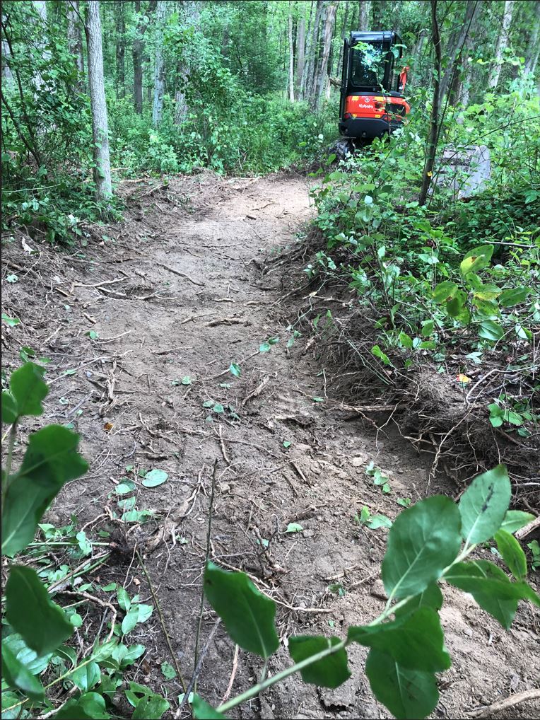 storm drain ditch2.JPG