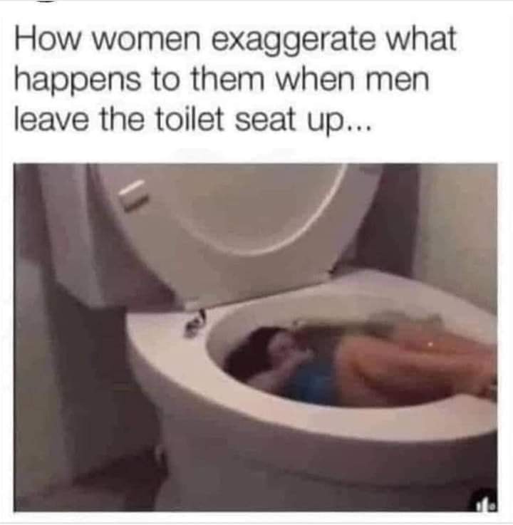 toiletseat.jpg