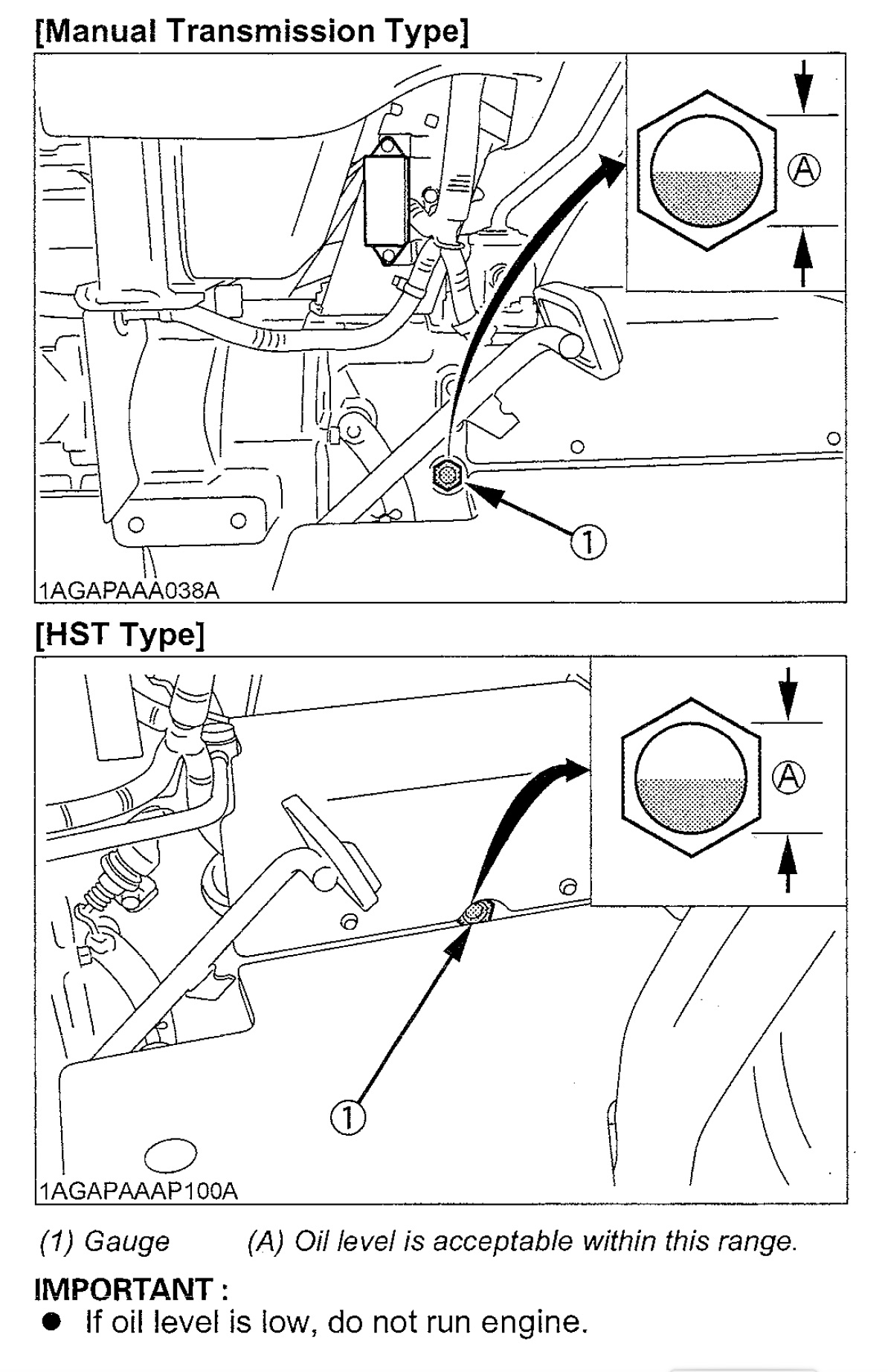 trans sight glass.jpg