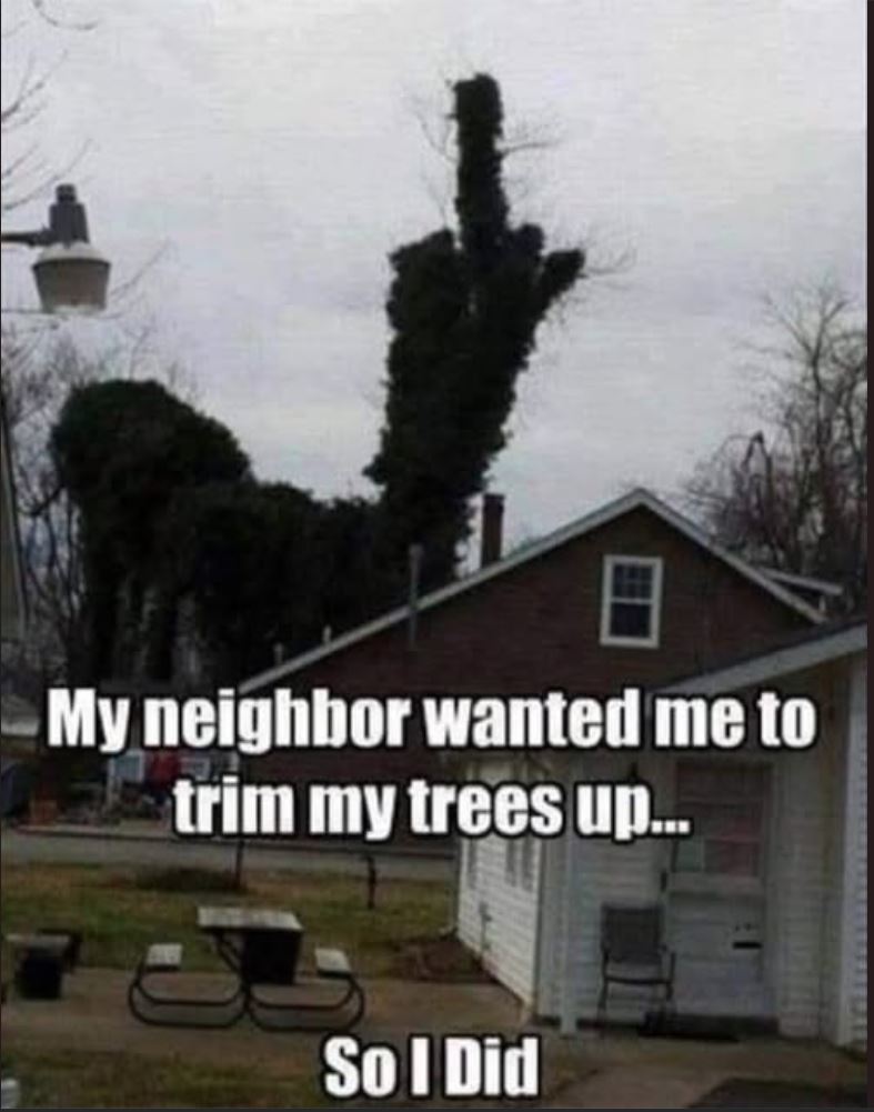 tree trimming.JPG