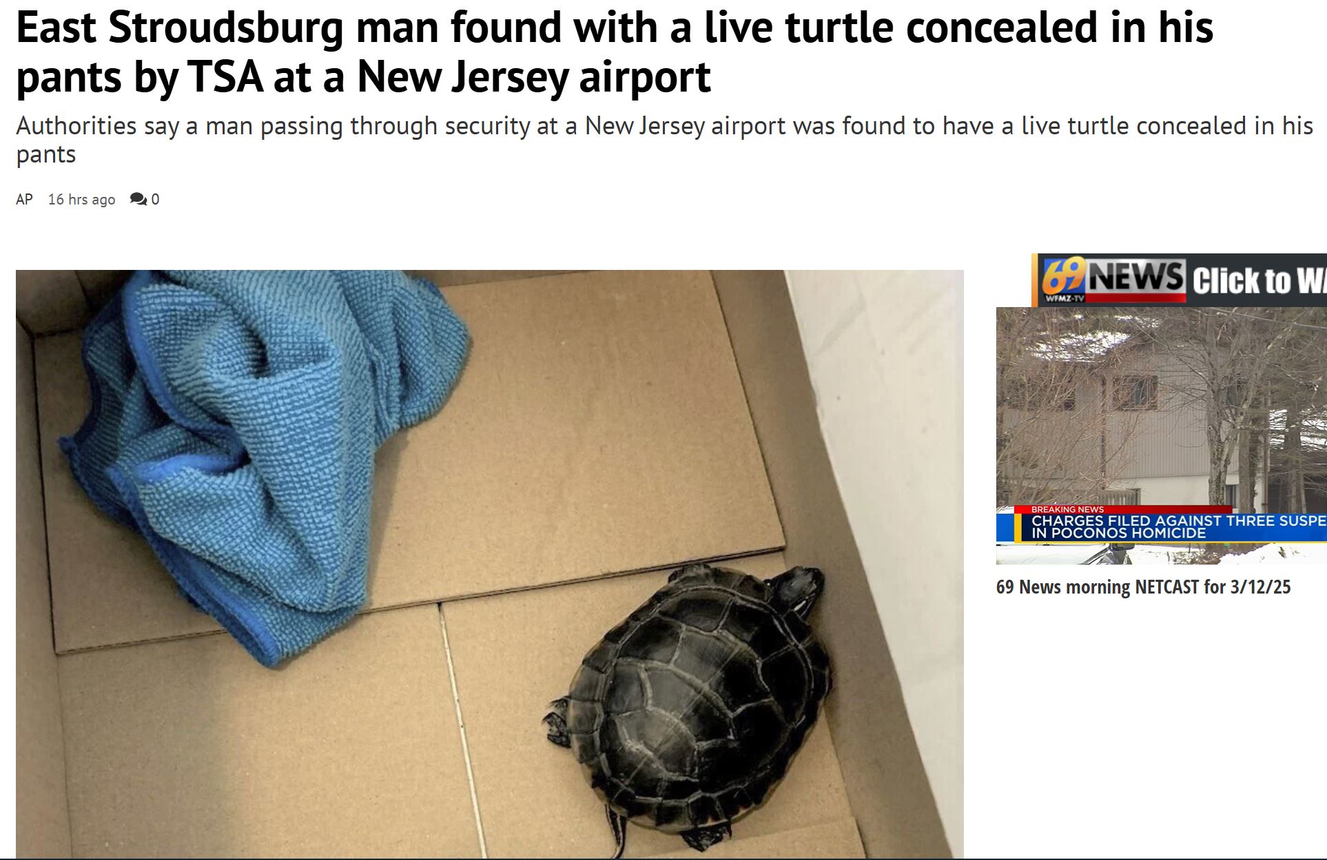 turtle.JPG