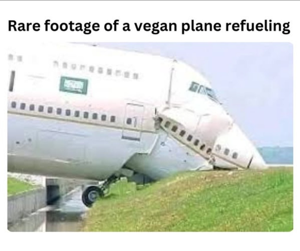 vegan plane.jpg