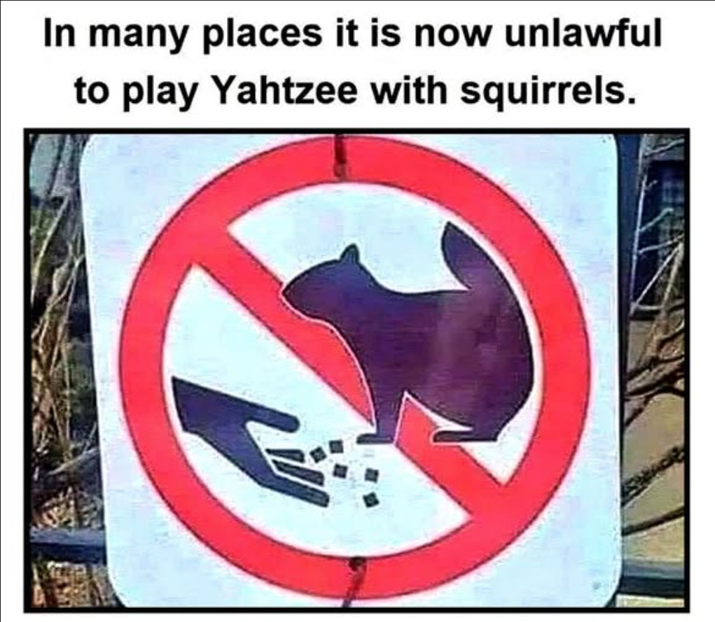 yahtzee.jpg