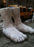 2 feet of snow.jpg