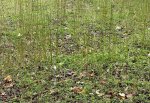 IMG_4189.jpeg