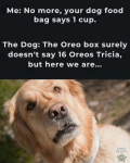 1000024356.png