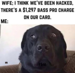 1000024362.png