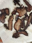 IMG_4163.jpeg