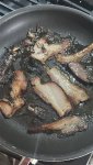 IMG_4161.jpeg