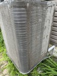 IMG_4198.jpeg
