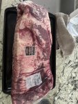 IMG_4226.jpeg