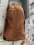 IMG_4227.jpeg